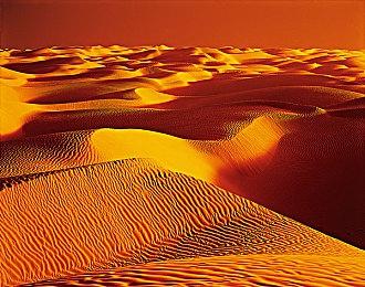 《上古卷轴4：重制版》开发商维塔士将进行大规模裁员